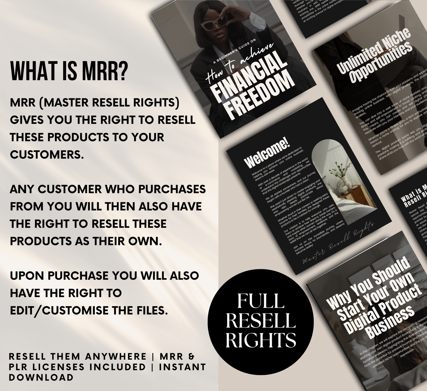 PLR/MRR Achieve Financial Freedom Ebook