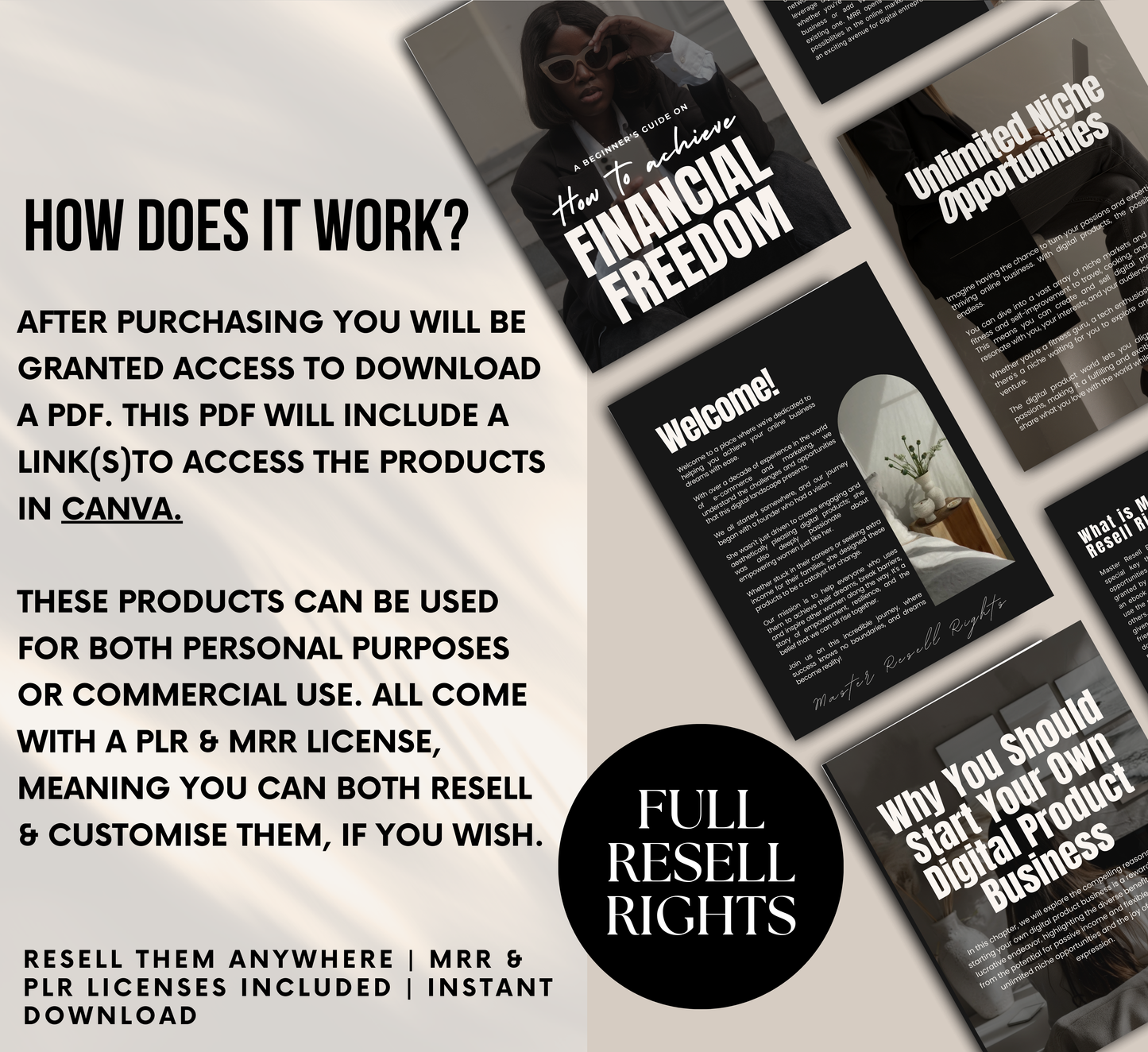 PLR/MRR Achieve Financial Freedom Ebook