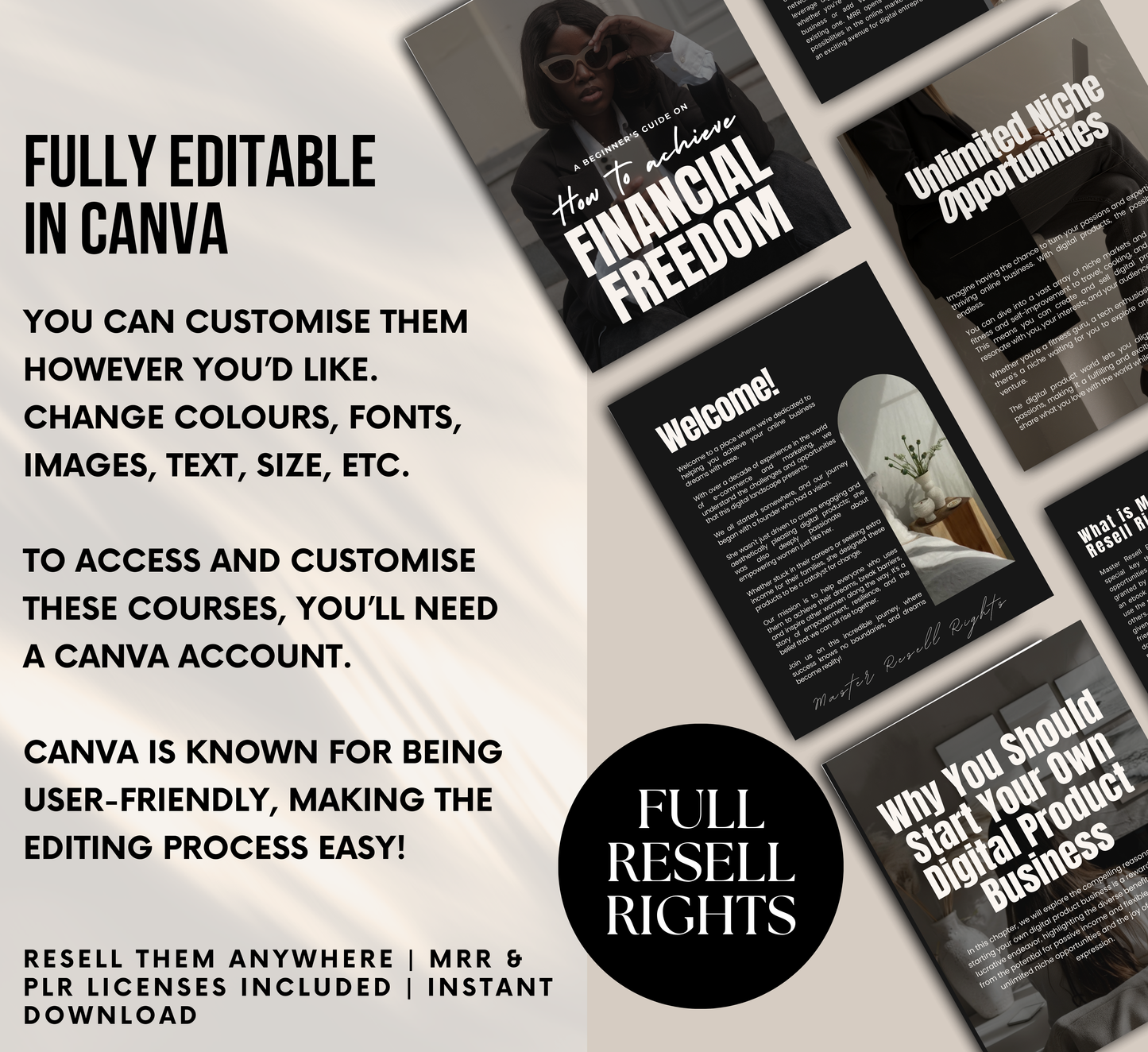 PLR/MRR Achieve Financial Freedom Ebook