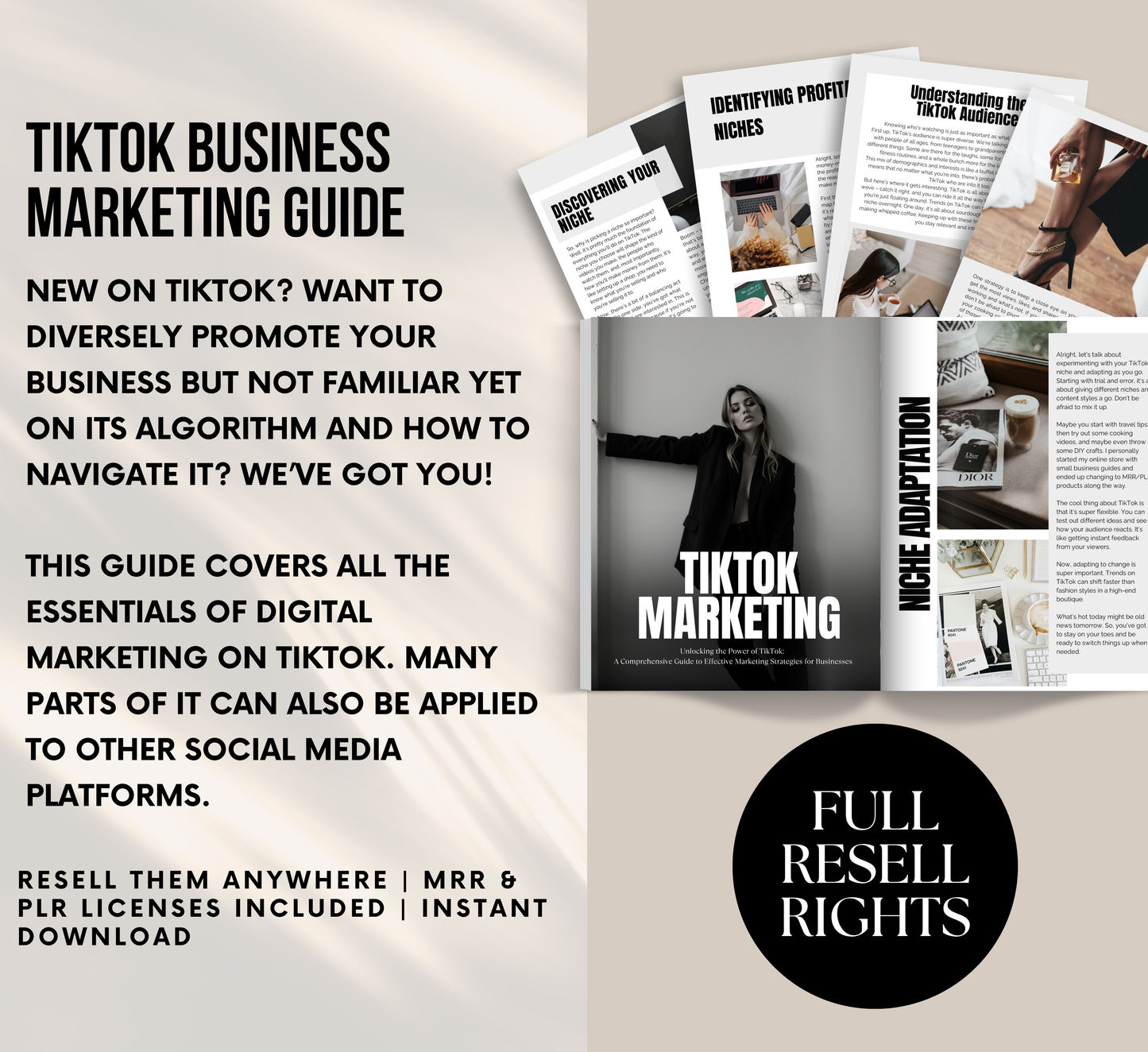 PLR/MRR TikTok Marketing Guide