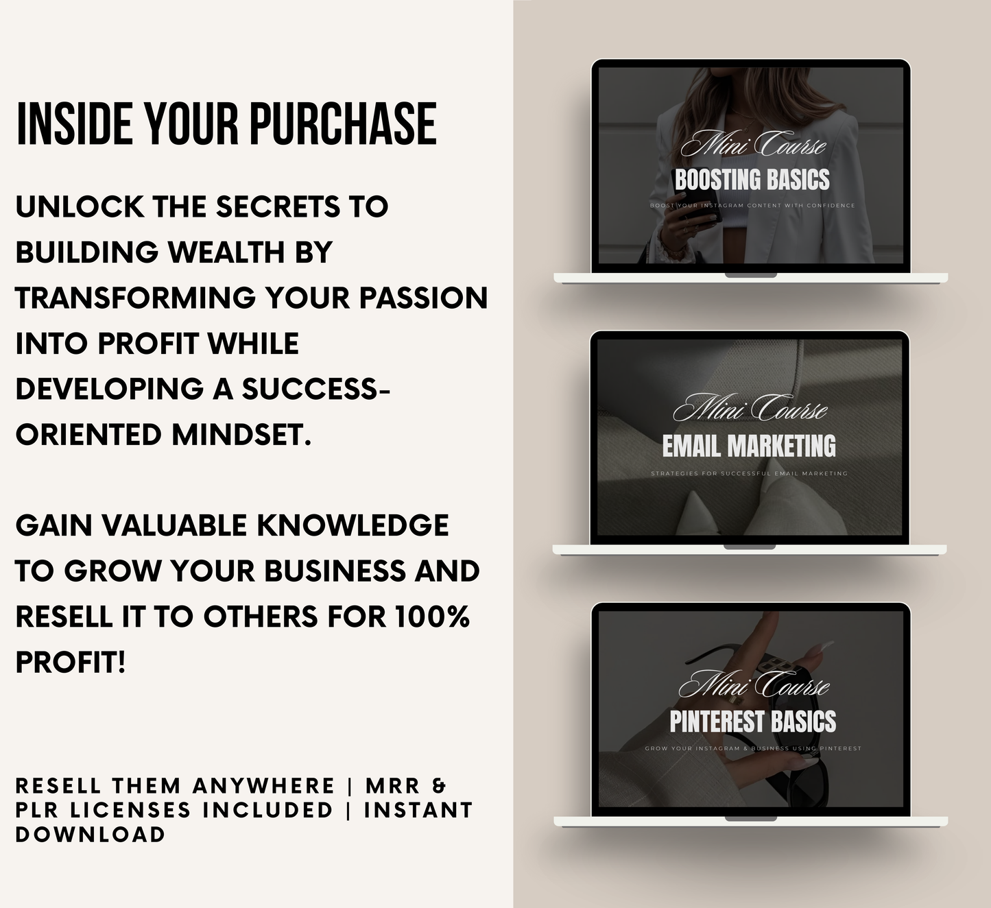 PLR/MRR 12 Mini Courses Digital Marketing