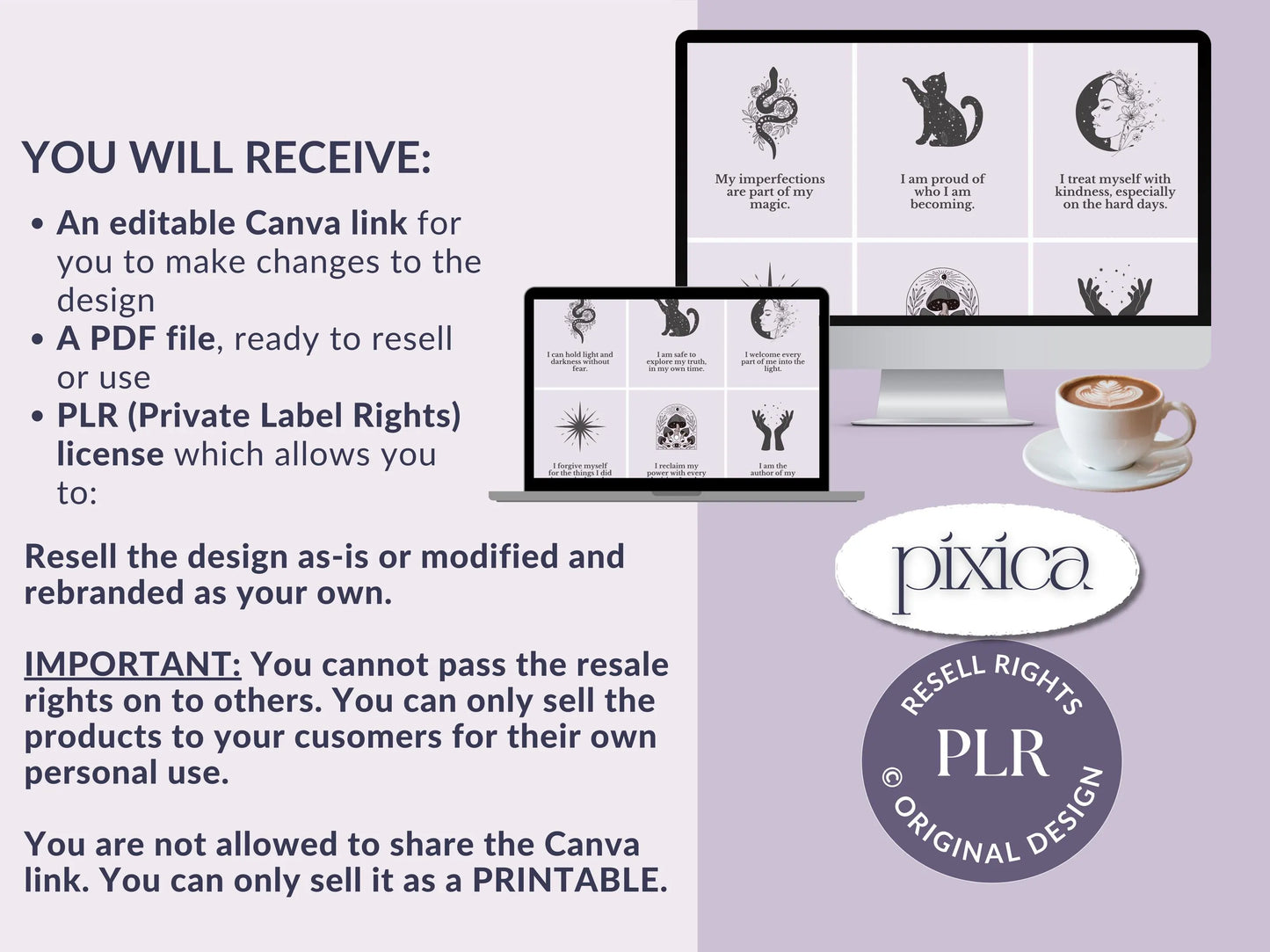 PLR 60 Digital Affirmation Cards #10