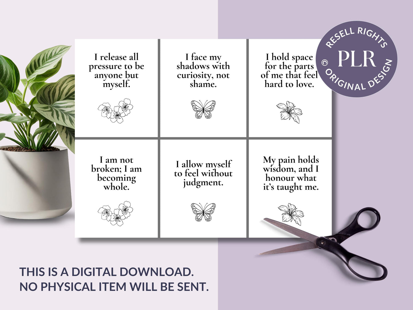 PLR 60 Digital Affirmation Cards #2