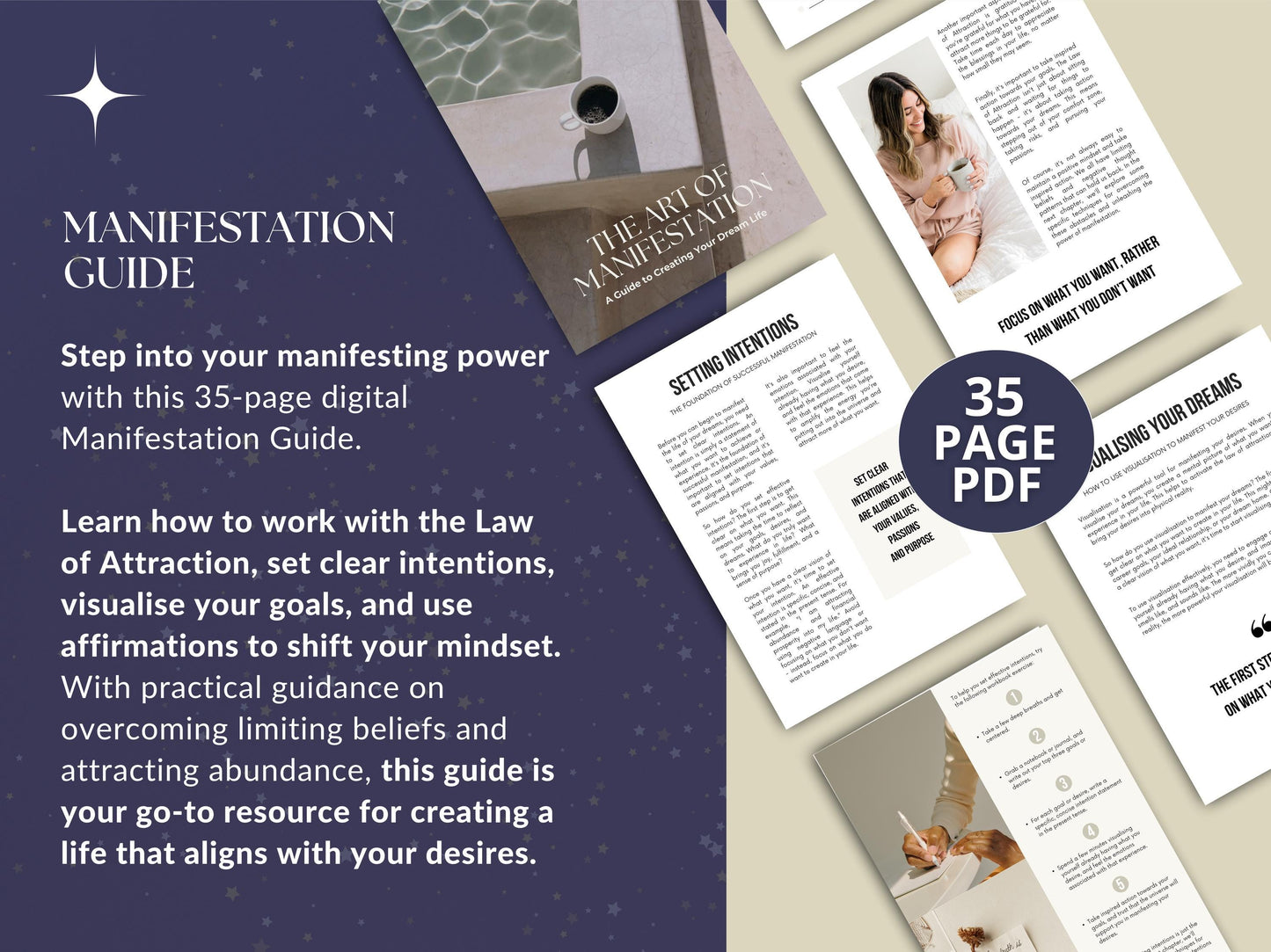 MRR Resell Digital Manifestation Guide Ebook