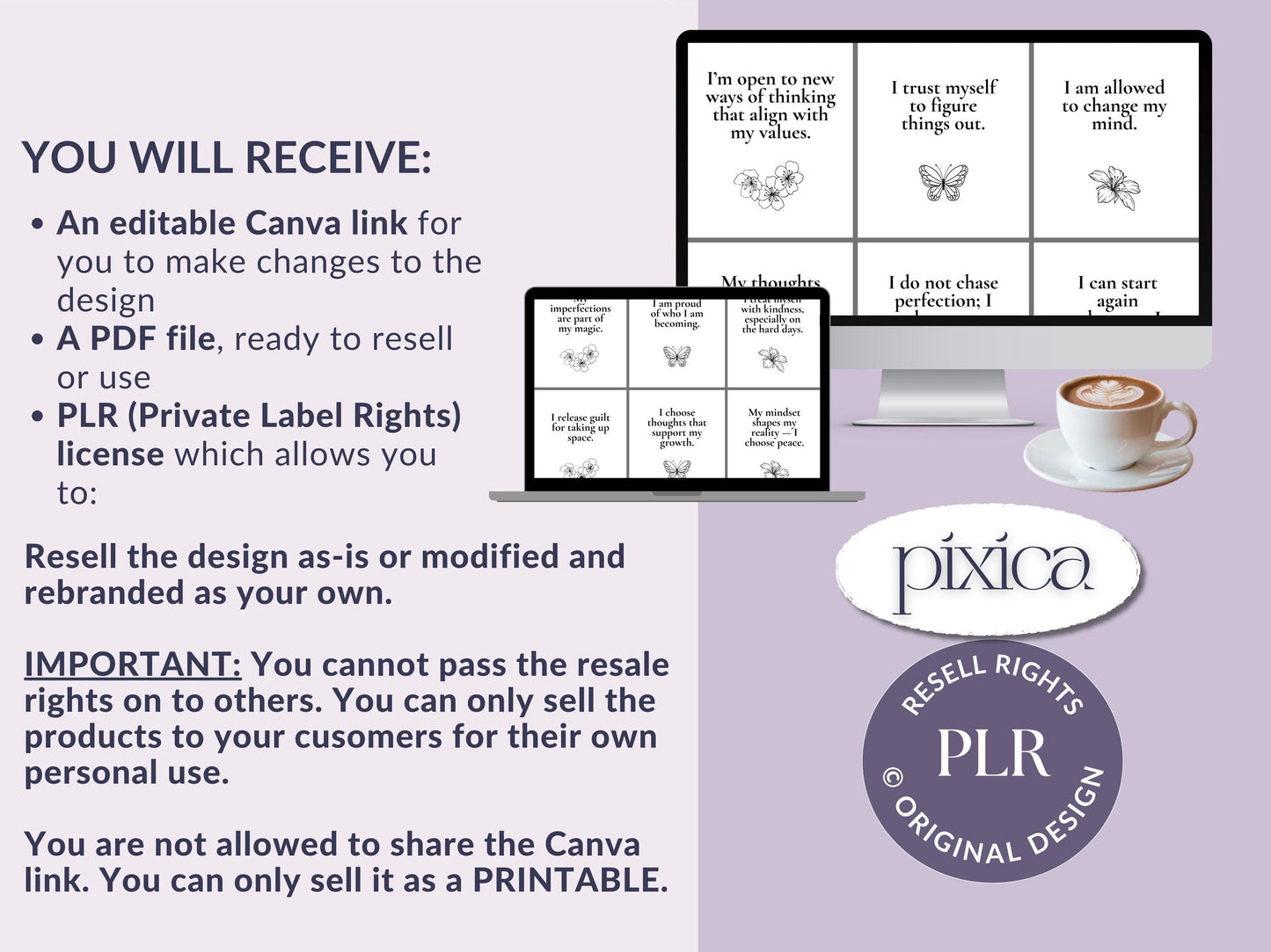 PLR 60 Digital Affirmation Cards #2