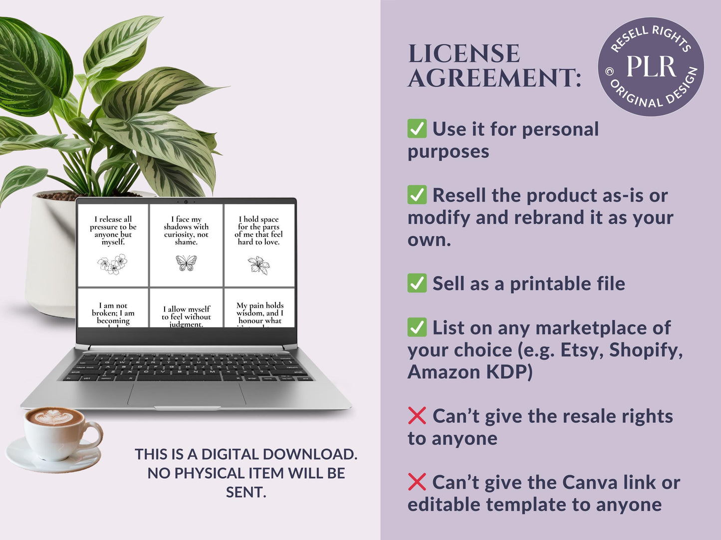 PLR 60 Digital Affirmation Cards #2