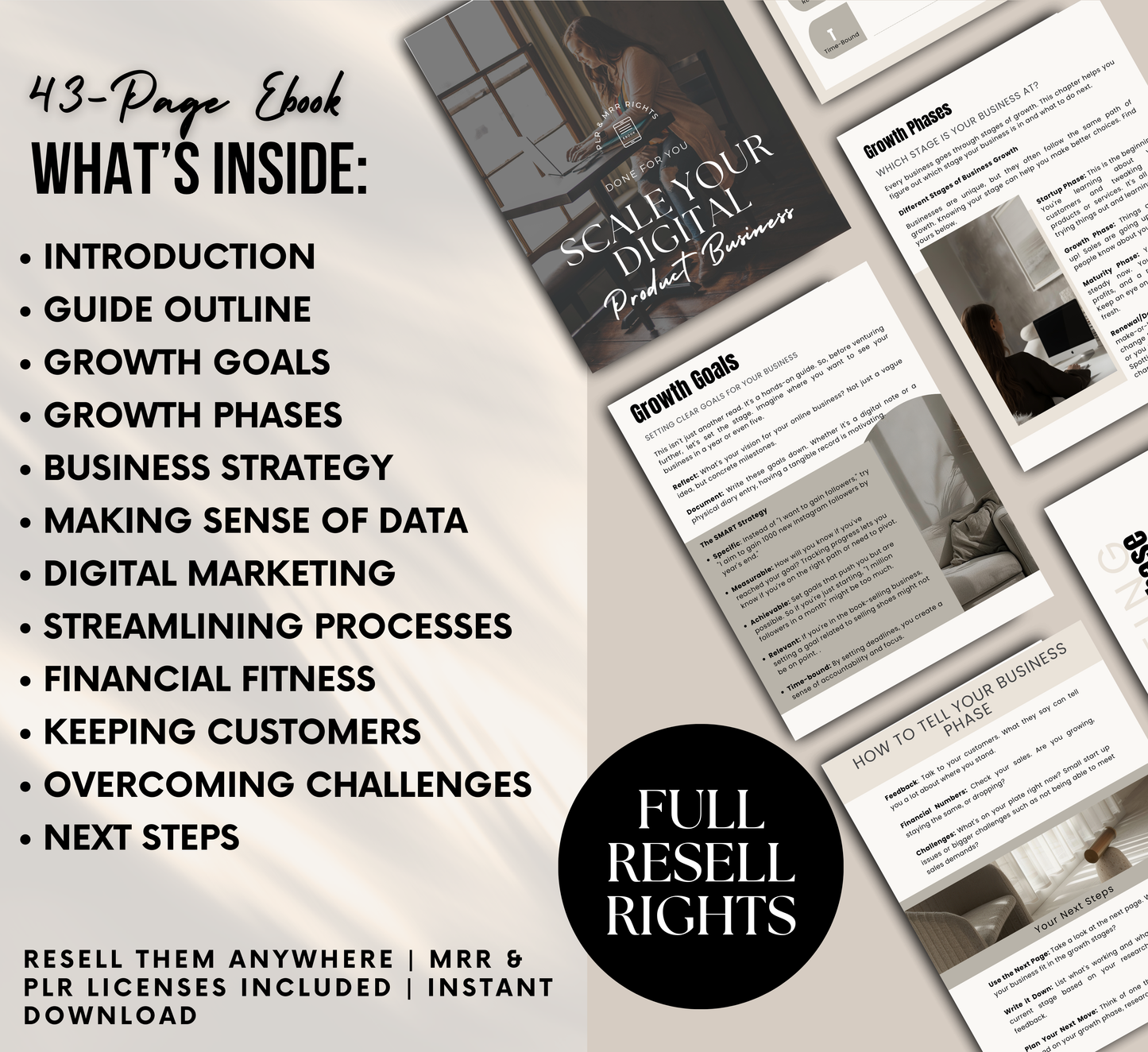 PLR/MRR Scale Your Digital Product Business Ebook