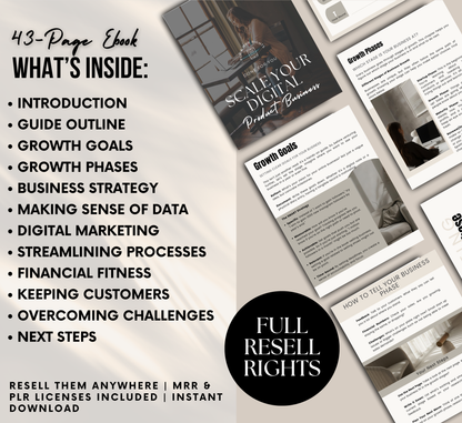 PLR/MRR Scale Your Digital Product Business Ebook