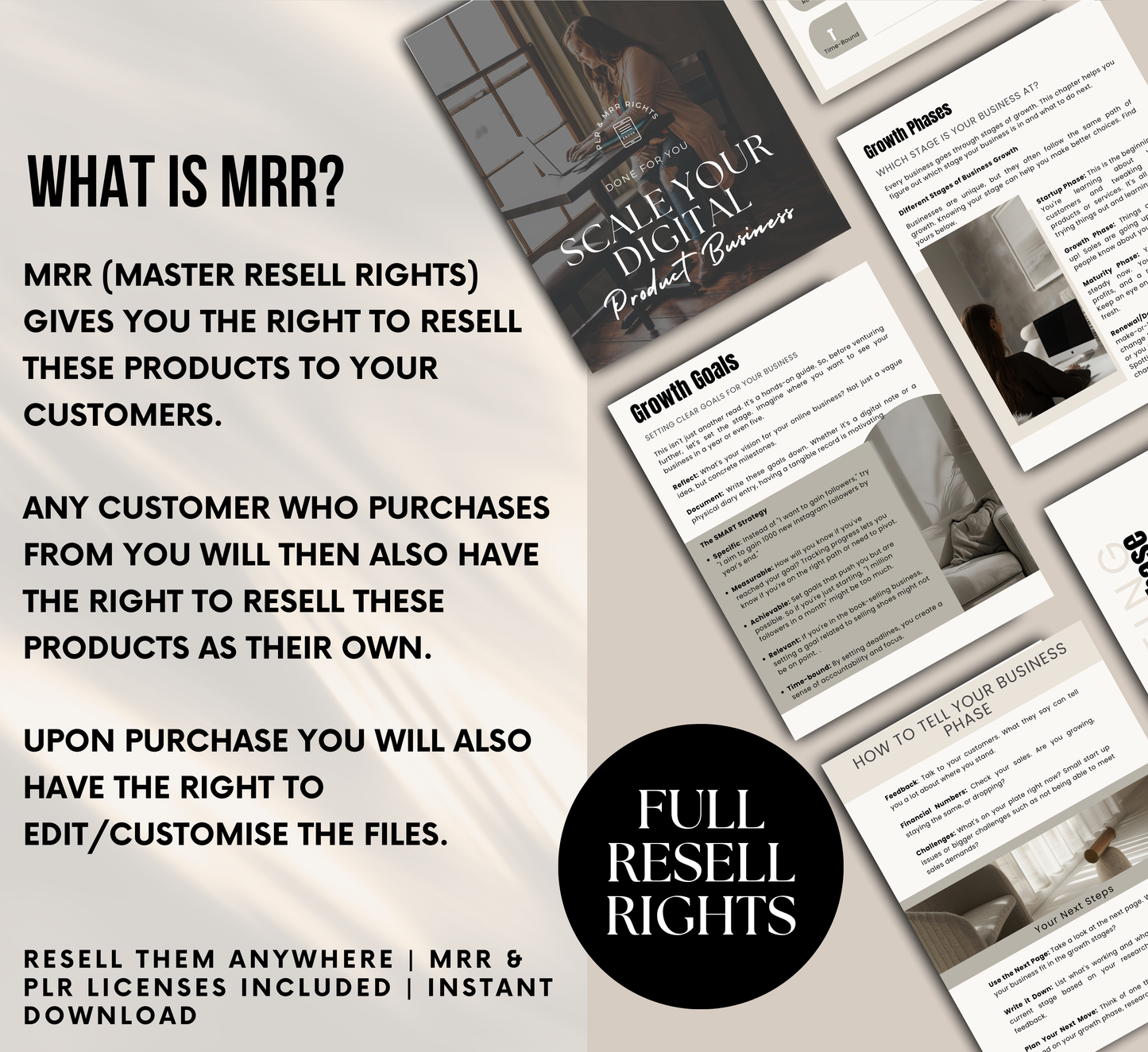PLR/MRR Scale Your Digital Product Business Ebook