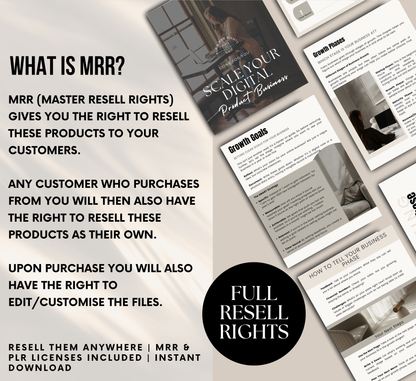 PLR/MRR Scale Your Digital Product Business Ebook