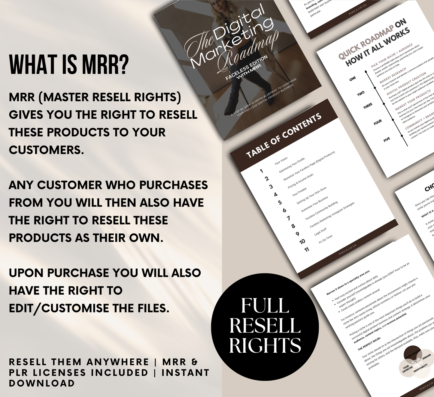 PLR/MRR Faceless Digital Marketing Ebook