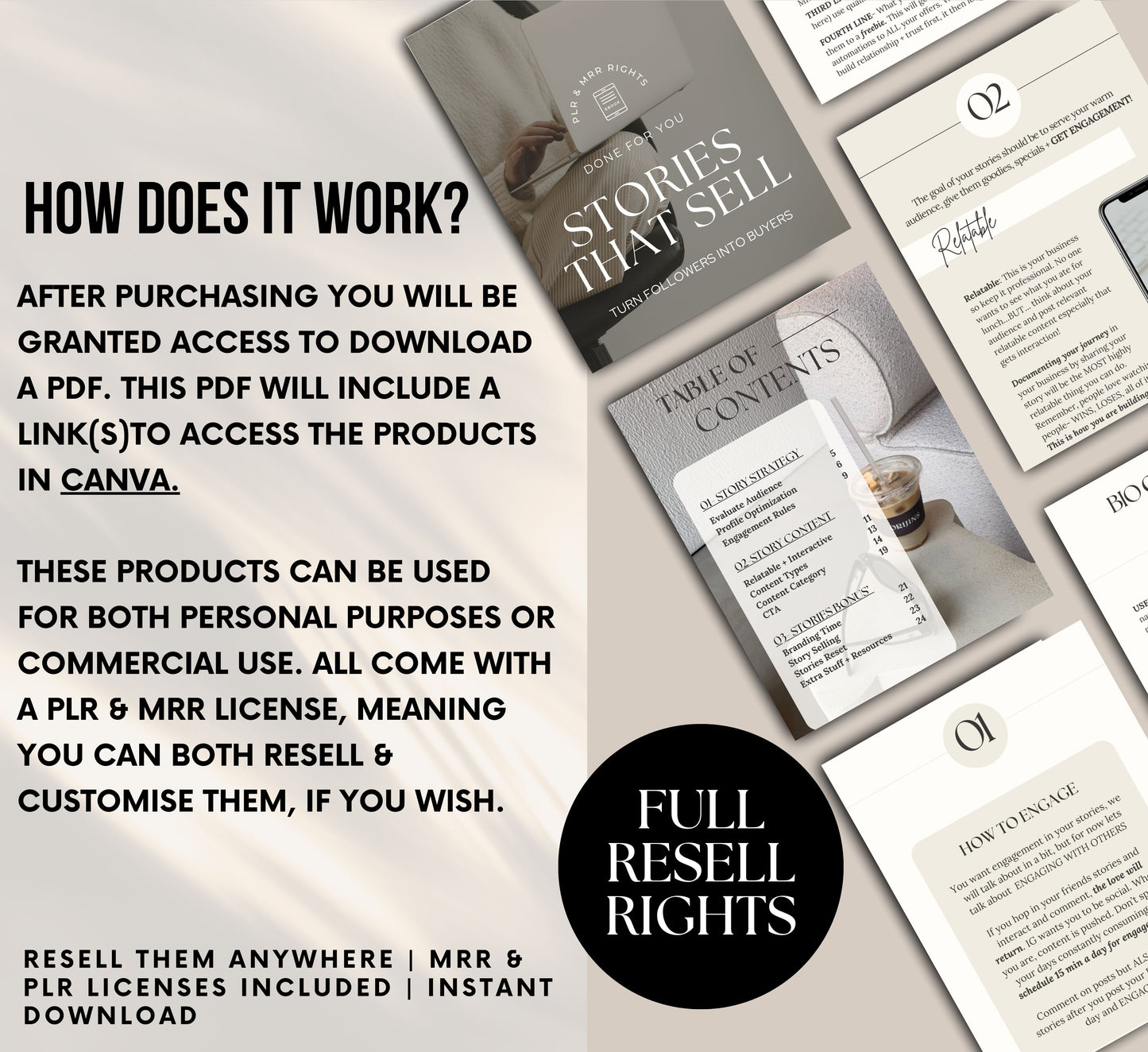 PLR/MRR Stories That Sell Ebook Guide