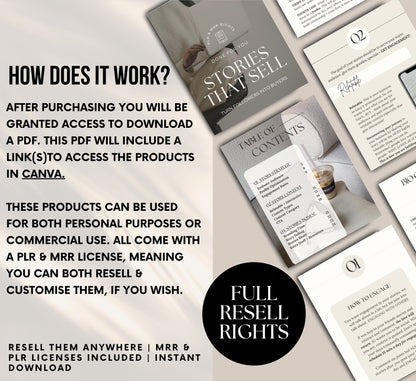 PLR/MRR Stories That Sell Ebook Guide