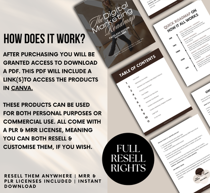 PLR/MRR Faceless Digital Marketing Ebook
