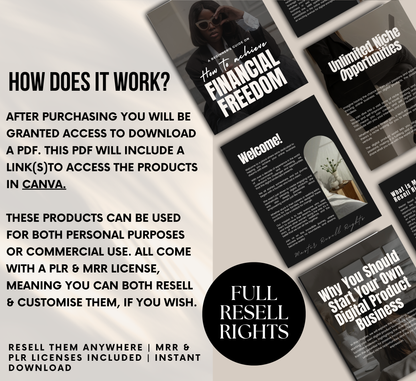 PLR/MRR Achieve Financial Freedom Ebook