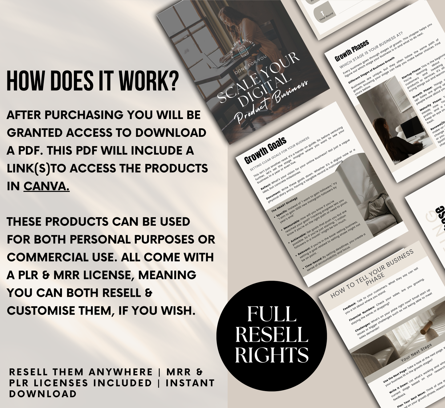 PLR/MRR Scale Your Digital Product Business Ebook