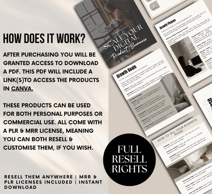 PLR/MRR Scale Your Digital Product Business Ebook