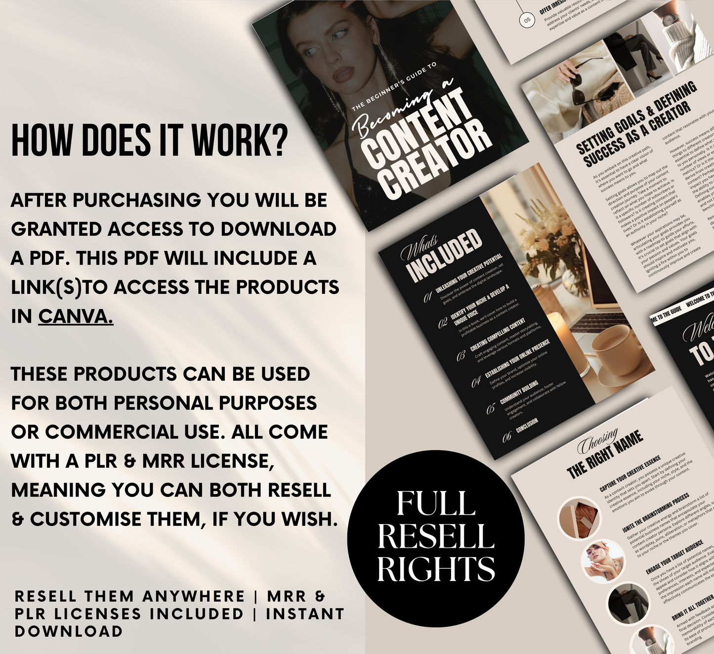 PLR/MRR Content Creator Guide For Beginners