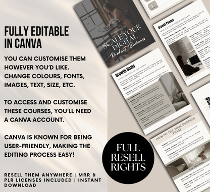 PLR/MRR Scale Your Digital Product Business Ebook