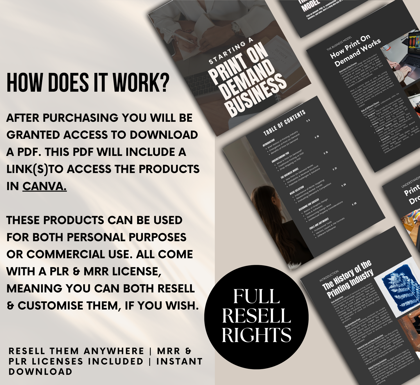 PLR/MRR Starting A Print On Demand Business Guide
