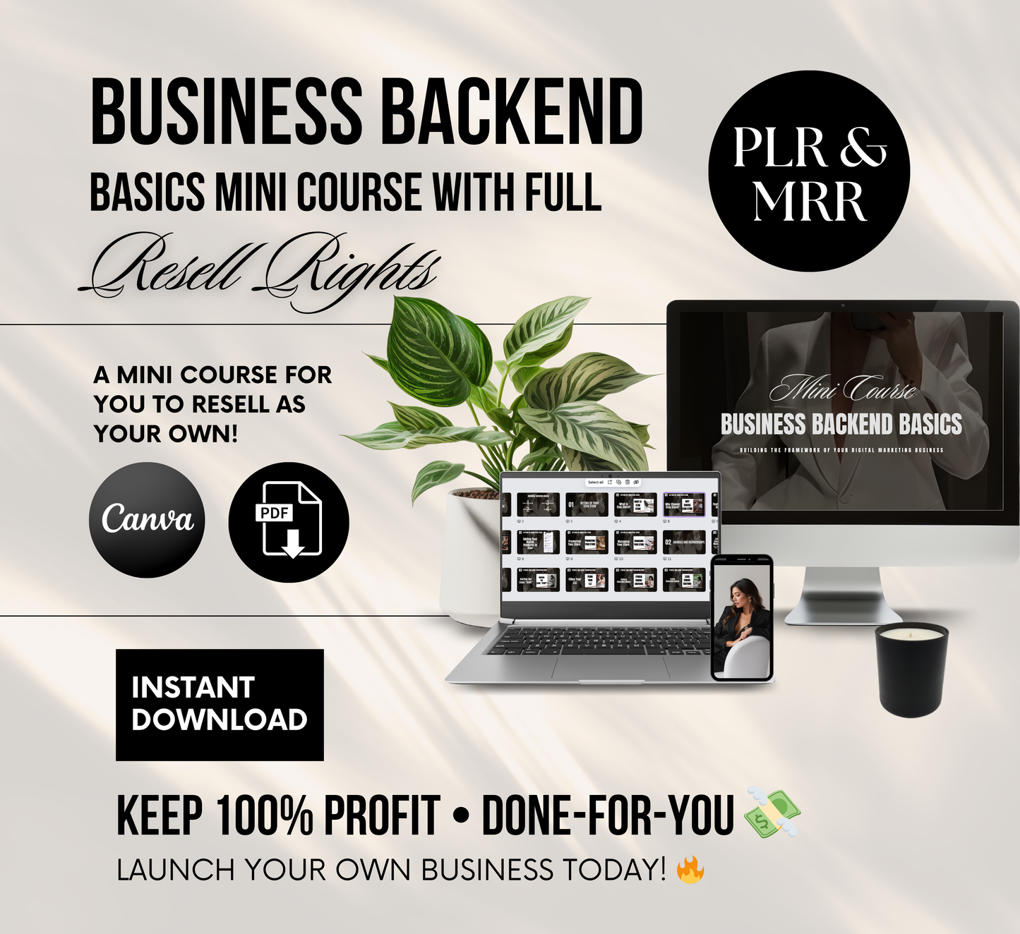PLR/MRR Business Backend Basics Mini Course