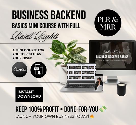 PLR/MRR Business Backend Basics Mini Course