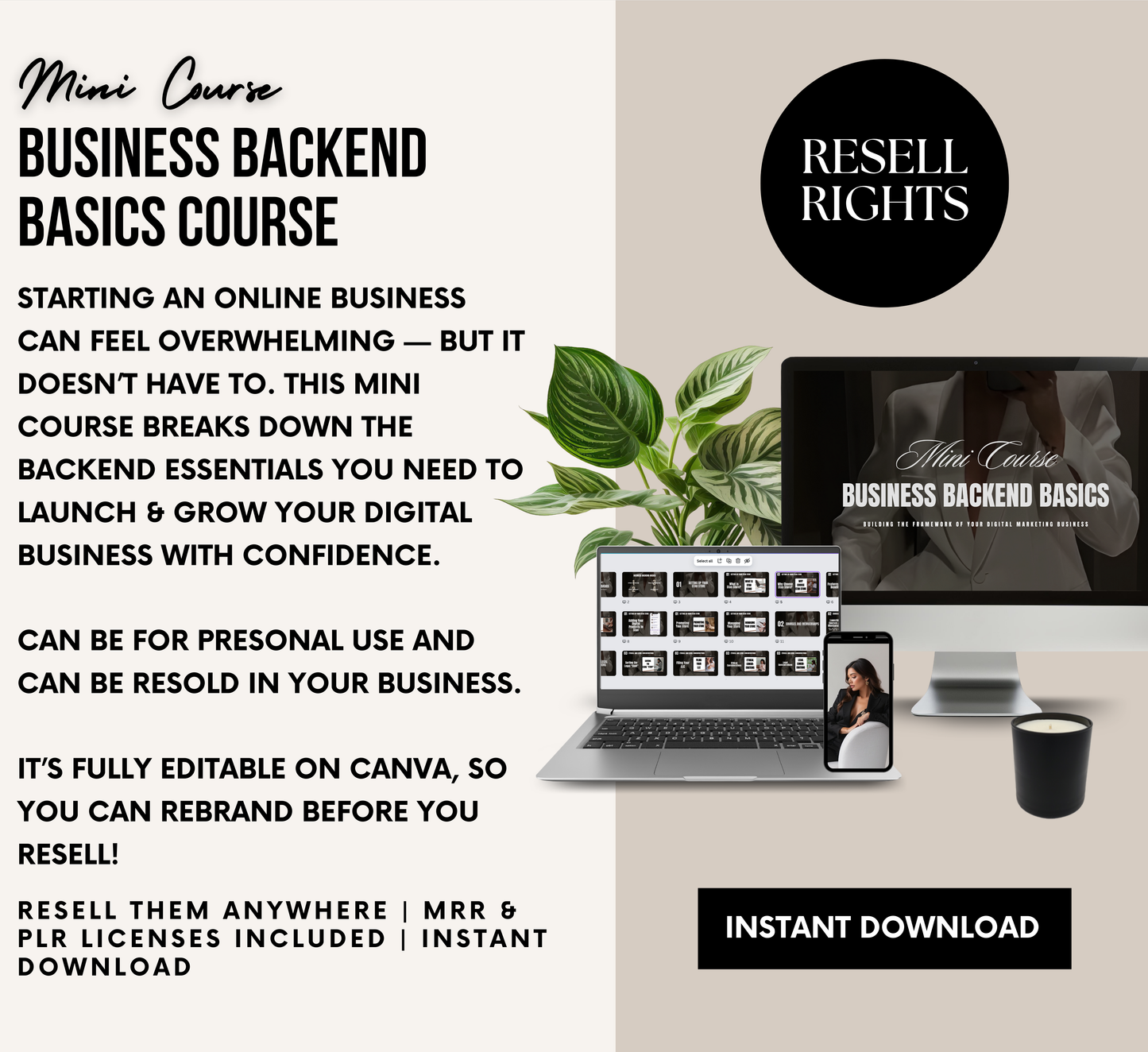 PLR/MRR Business Backend Basics Mini Course
