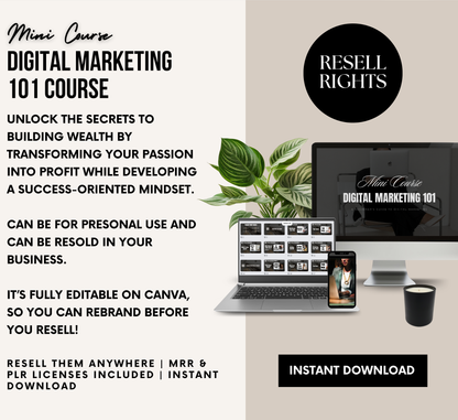 PLR/MRR Digital Marketing 101 Mini Course