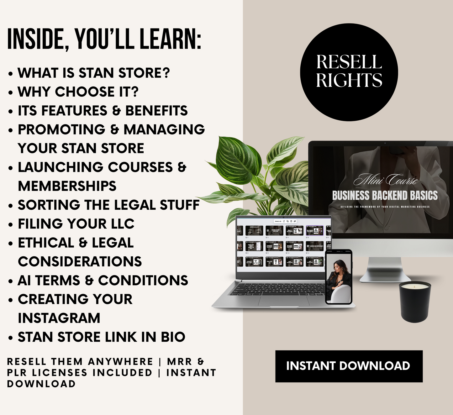 PLR/MRR Business Backend Basics Mini Course
