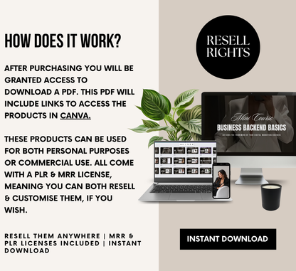 PLR/MRR Business Backend Basics Mini Course