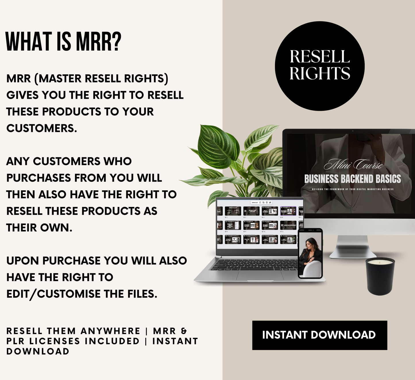 PLR/MRR Business Backend Basics Mini Course