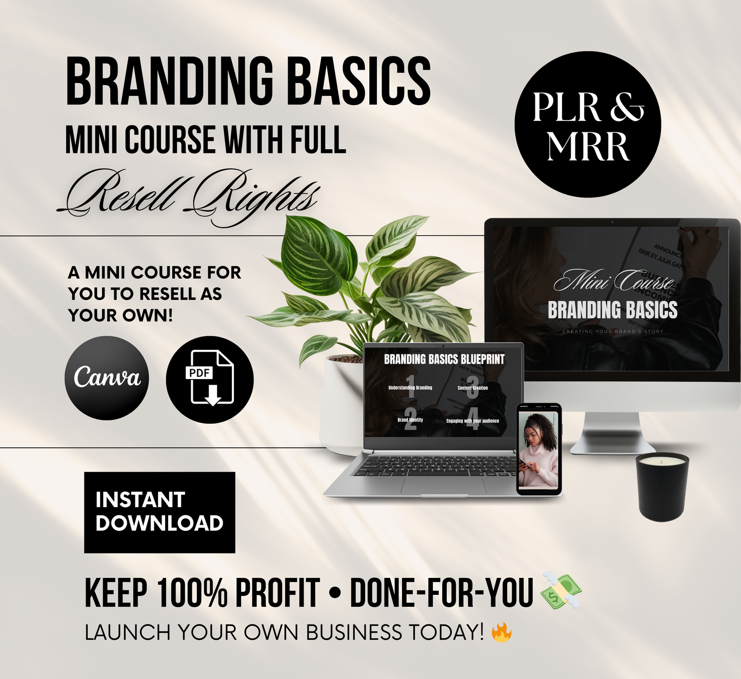 PLR/MRR Business Branding Mini Course