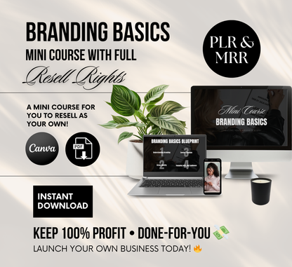PLR/MRR Business Branding Mini Course