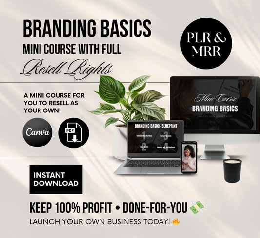 PLR/MRR Business Branding Mini Course
