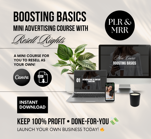 PLR/MRR Boosting Basics Instagram Mini Course