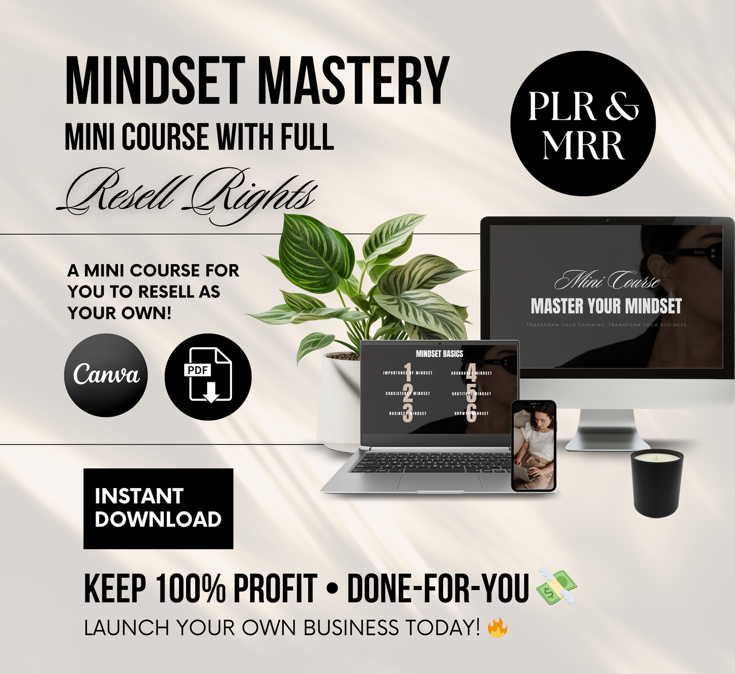 PLR/MRR Mindset Mastery Mini Business Course