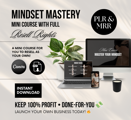 PLR/MRR Mindset Mastery Mini Business Course