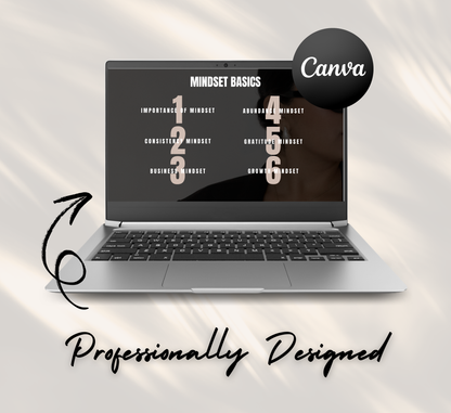 PLR/MRR Mindset Mastery Mini Business Course
