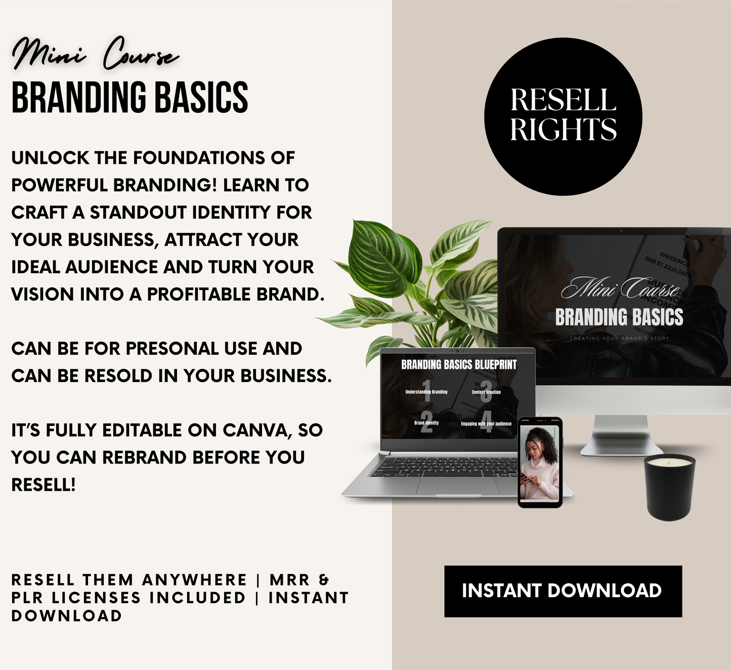 PLR/MRR Business Branding Mini Course