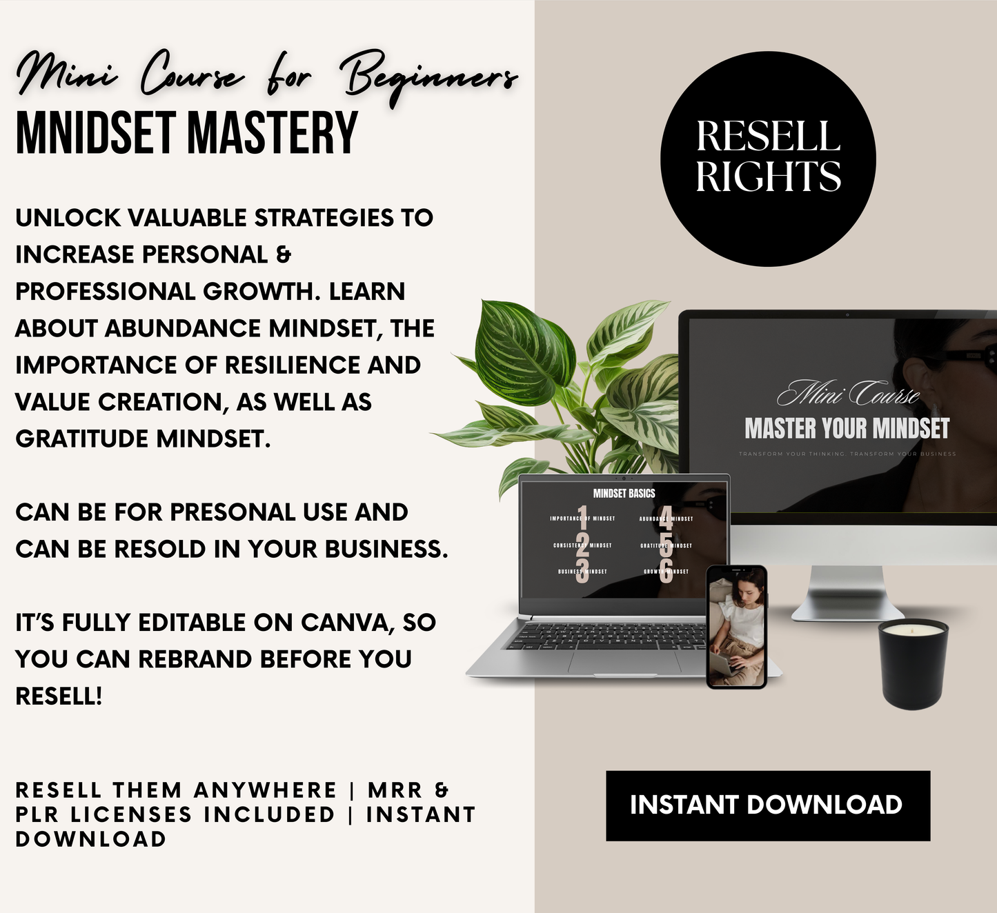 PLR/MRR Mindset Mastery Mini Business Course
