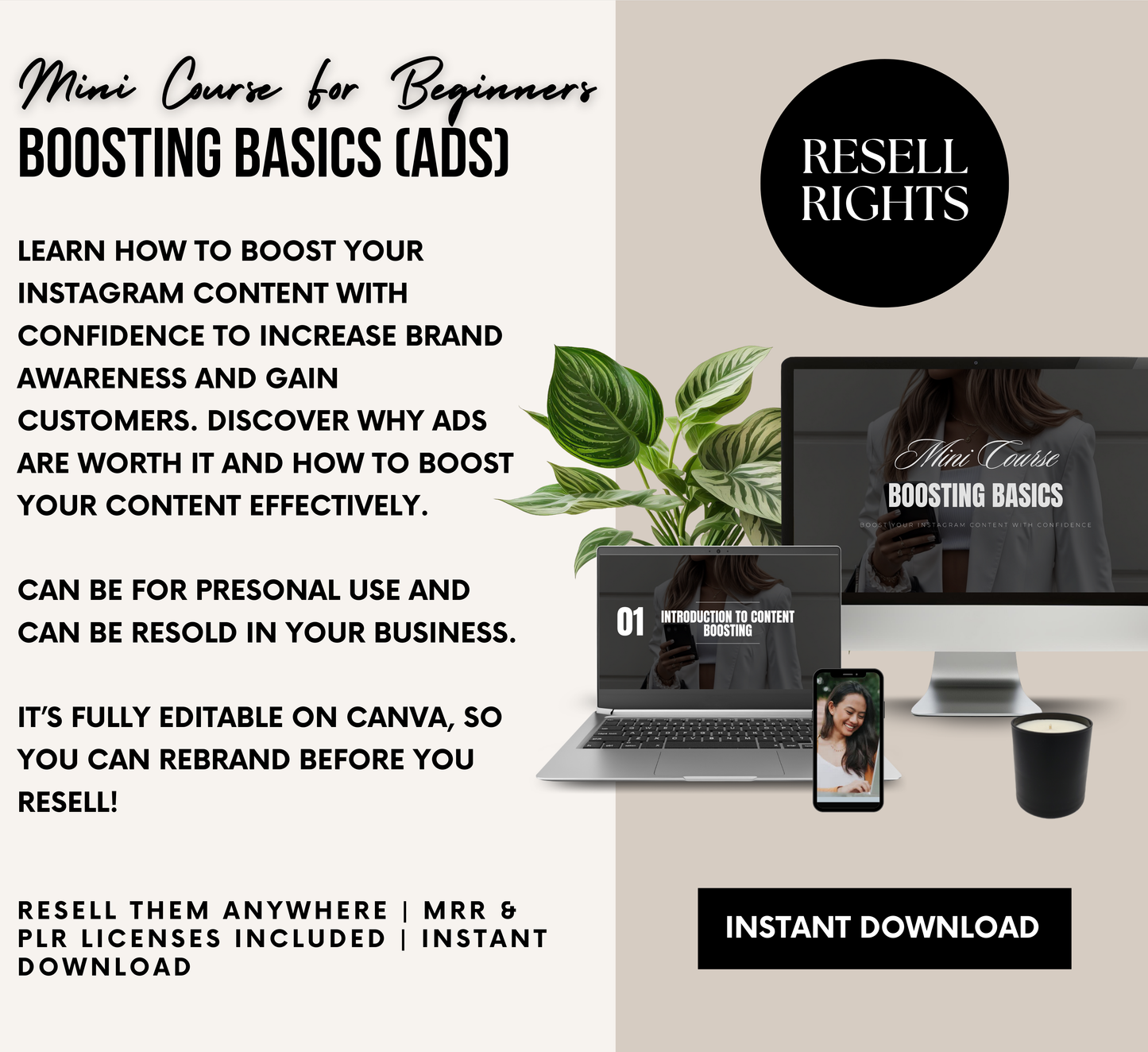 PLR/MRR Boosting Basics Instagram Mini Course