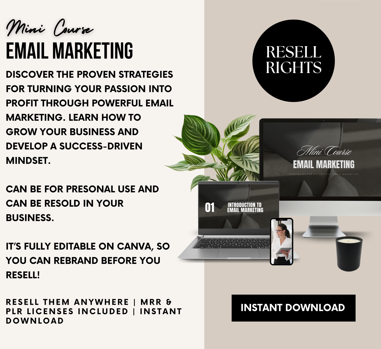 PLR/MRR Email Marketing Mini Course