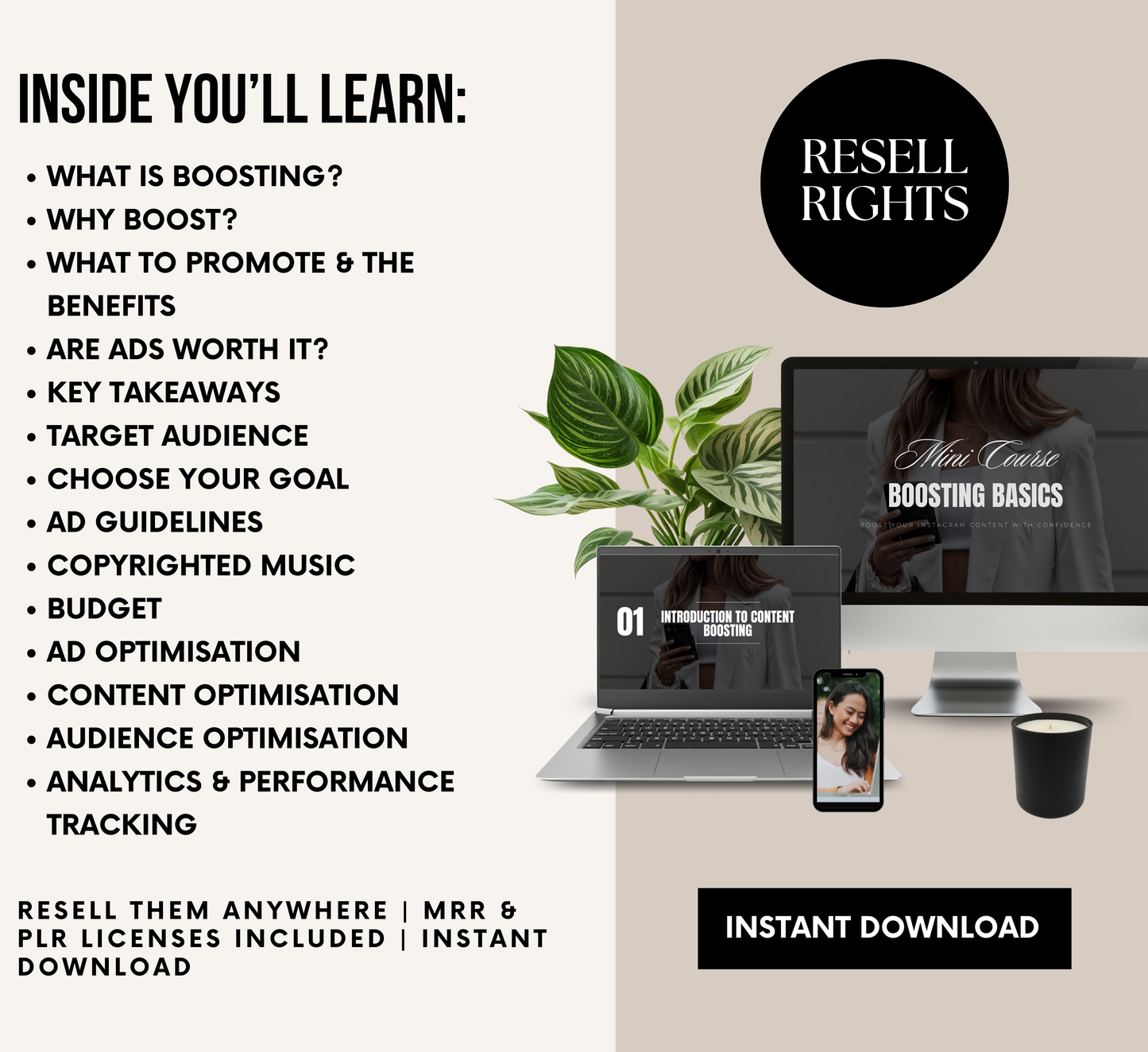 PLR/MRR Boosting Basics Instagram Mini Course