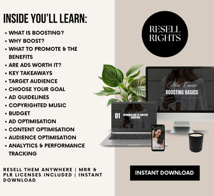 PLR/MRR Boosting Basics Instagram Mini Course