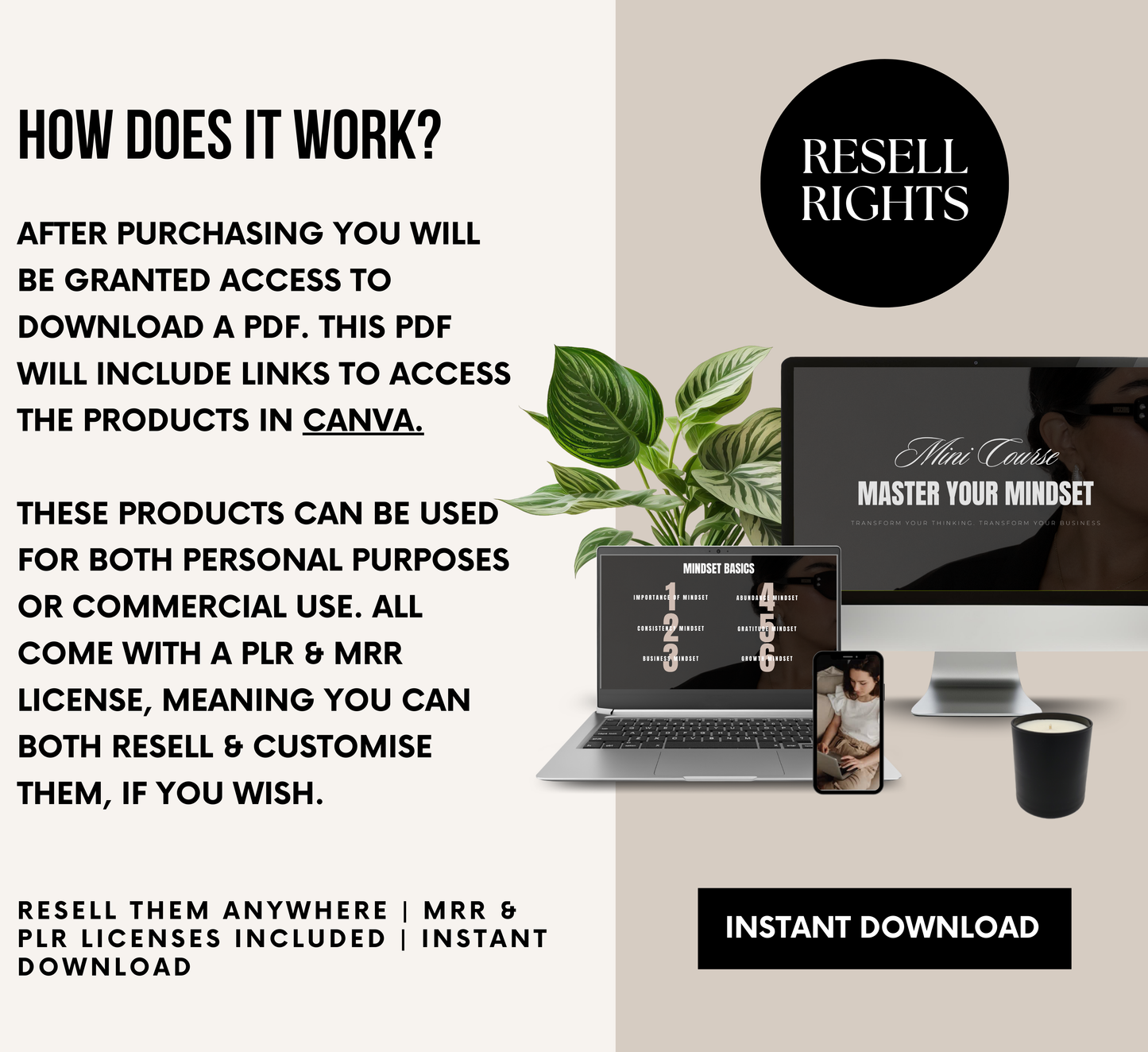 PLR/MRR Mindset Mastery Mini Business Course