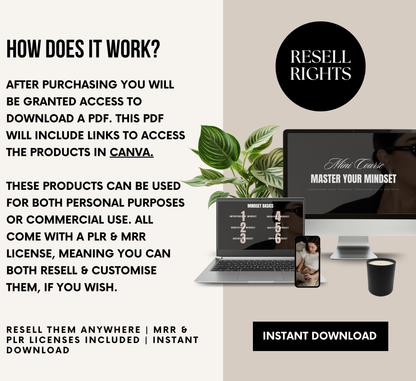 PLR/MRR Mindset Mastery Mini Business Course