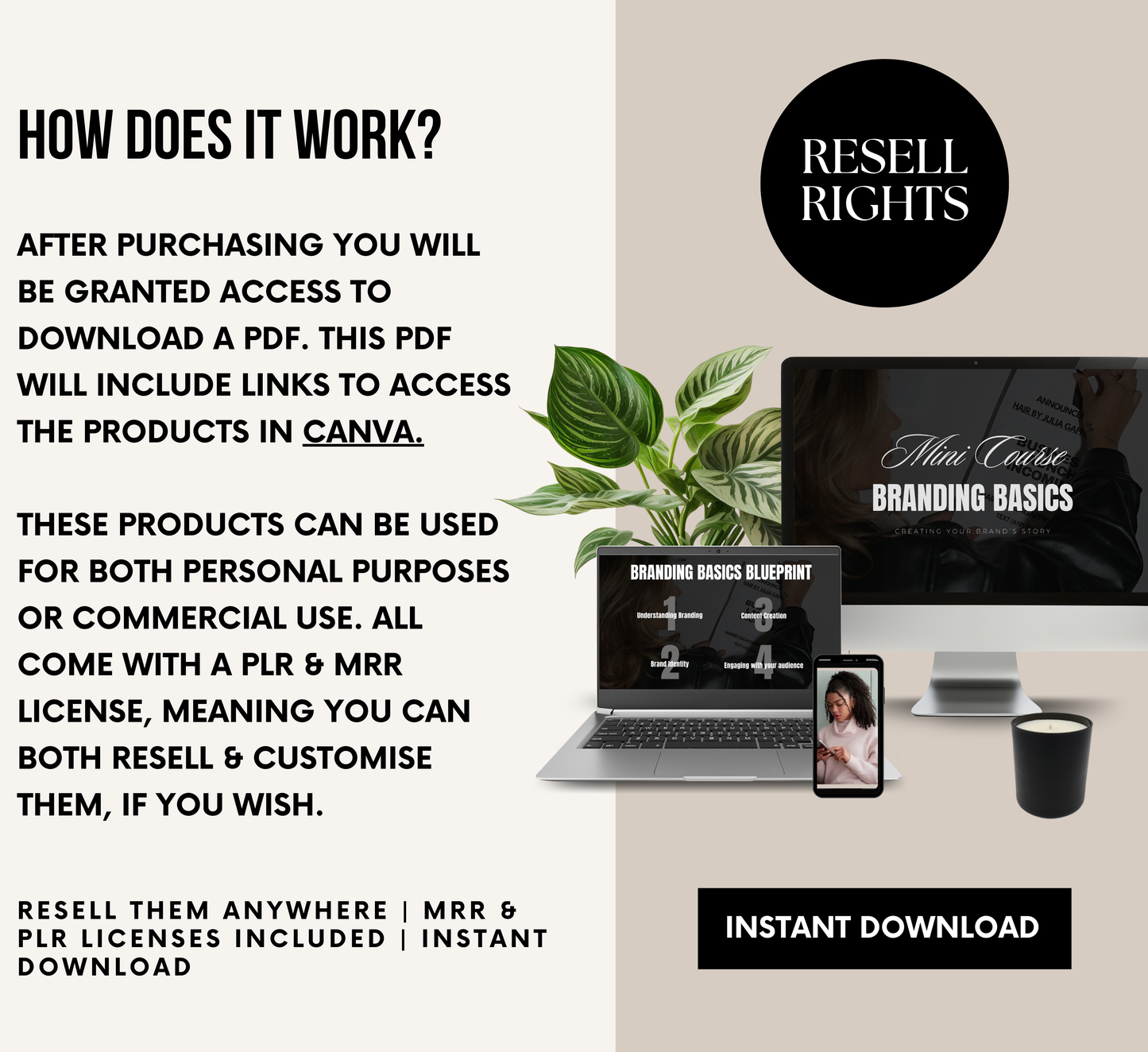 PLR/MRR Business Branding Mini Course