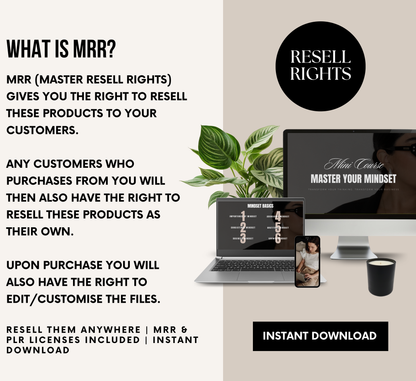 PLR/MRR Mindset Mastery Mini Business Course