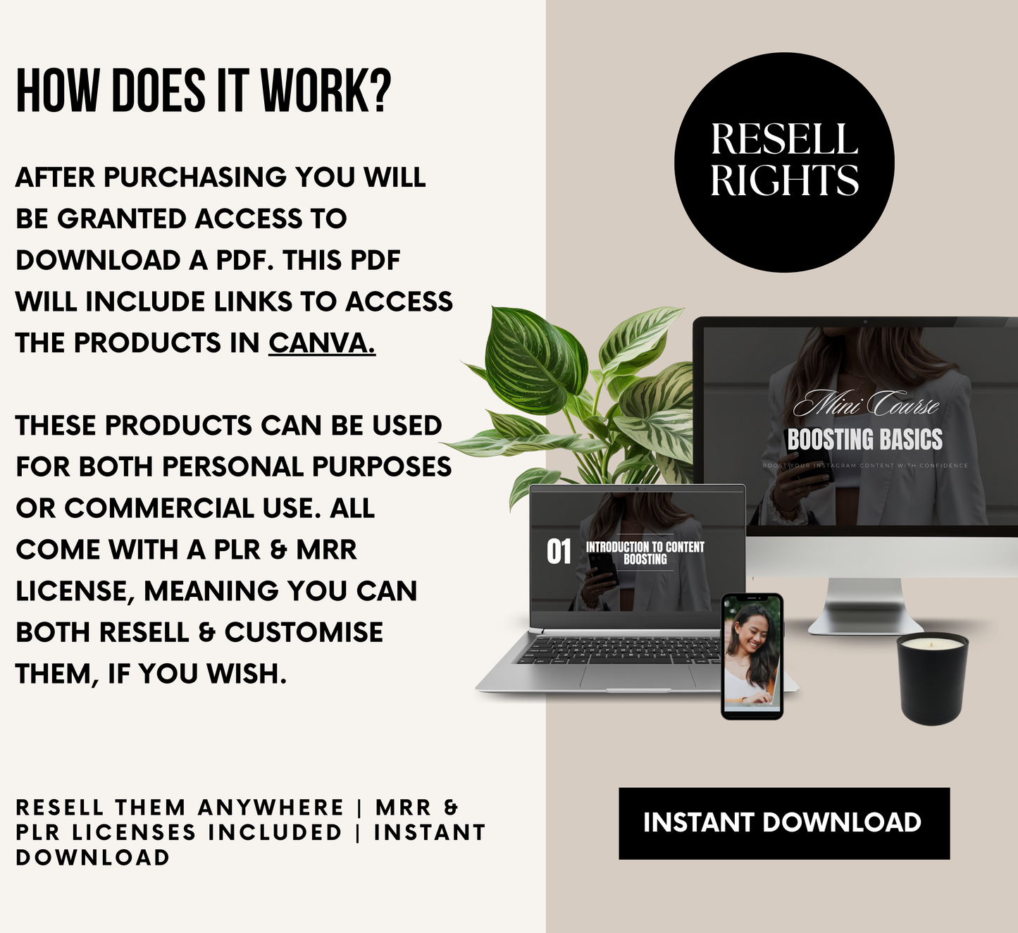 PLR/MRR Boosting Basics Instagram Mini Course