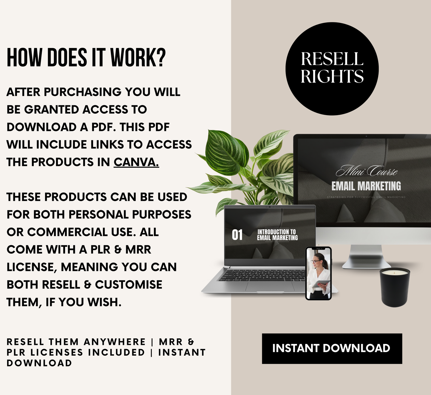PLR/MRR Email Marketing Mini Course